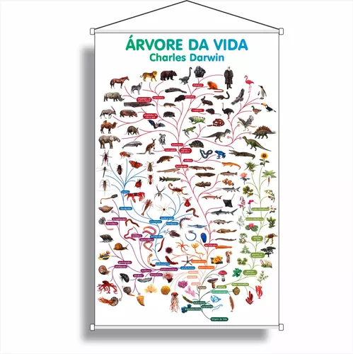 Banner Arvore da Vida